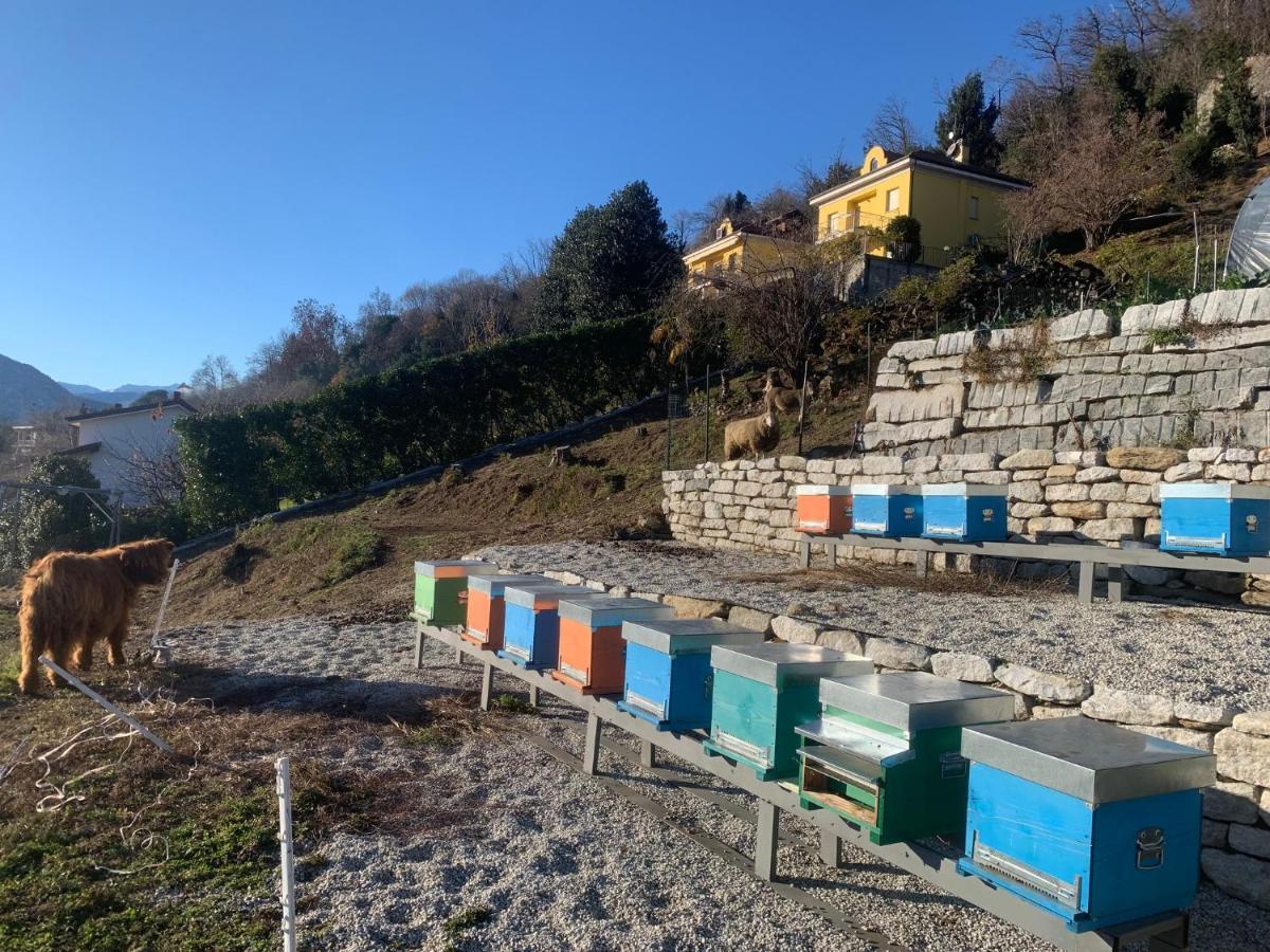 Ferienwohnung Sole Verbania Exterior foto
